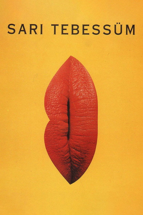 Yellow Smile film afişi