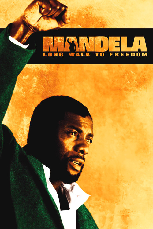 Mandela: Long Walk to Freedom film afişi