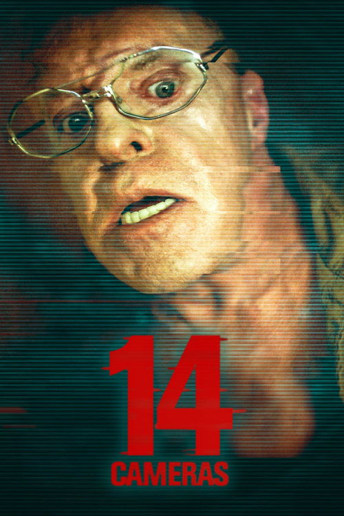 14 Cameras film afişi