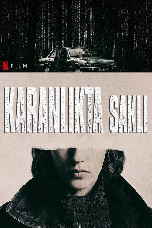 She Walks in Darkness film afişi