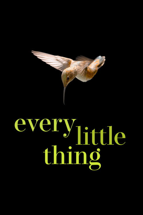 Every Little Thing film afişi