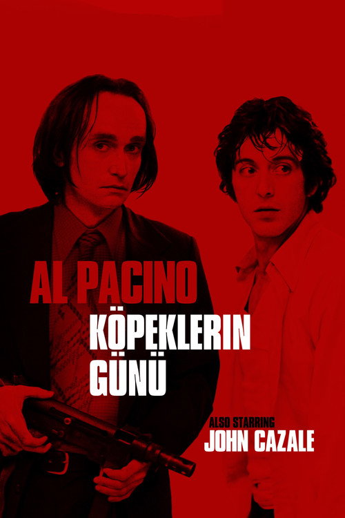 Dog Day Afternoon film afişi