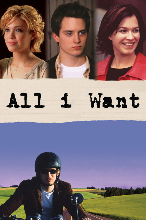 Try Seventeen film afişi