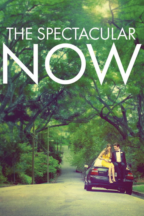 The Spectacular Now film afişi