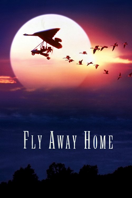 Fly Away Home film afişi