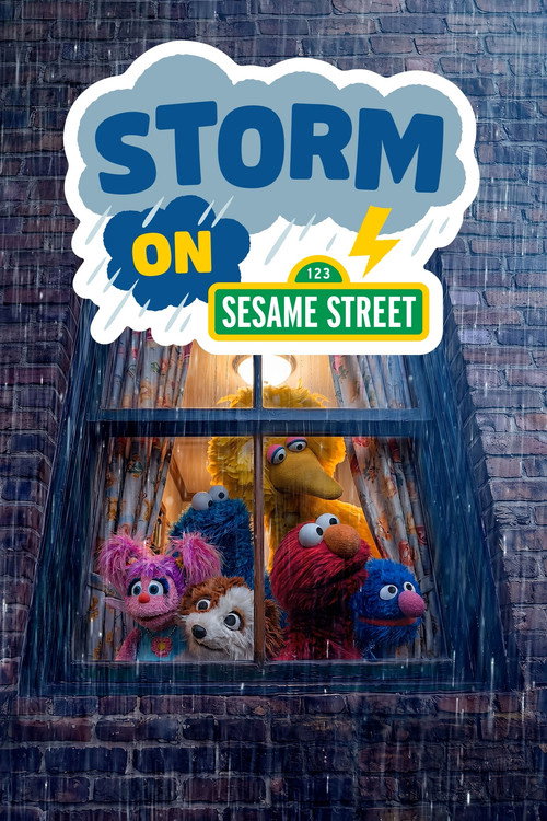 Storm on Sesame Street film afişi