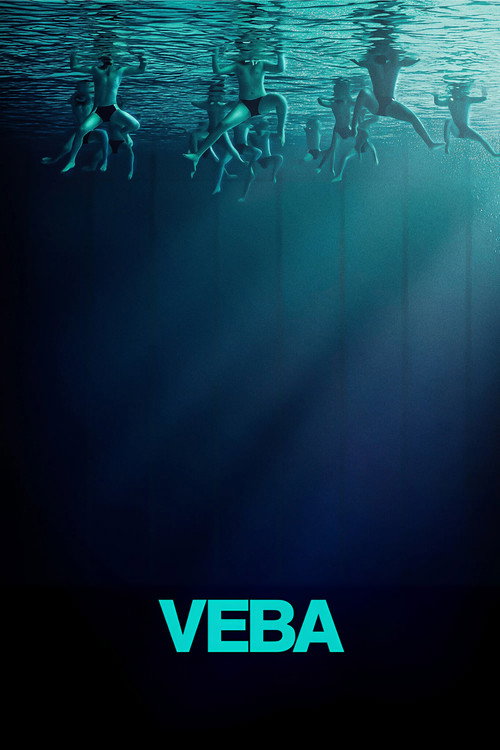Veba film afişi
