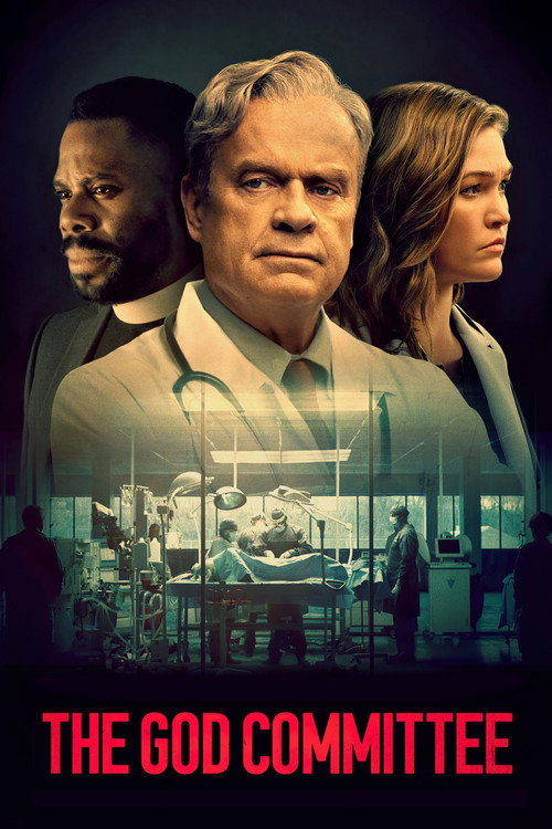 The God Committee film afişi
