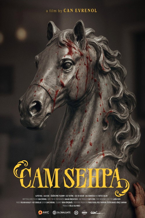 Cam Sehpa film afişi