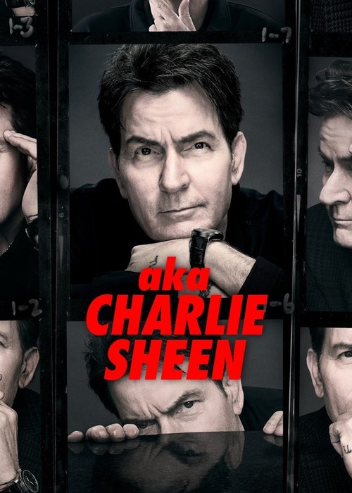 Namıdiğer Charlie Sheen dizi afişi
