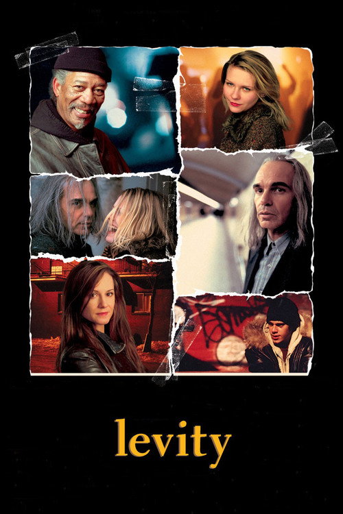 Levity film afişi