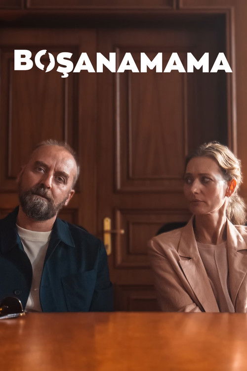 Divorce film afişi