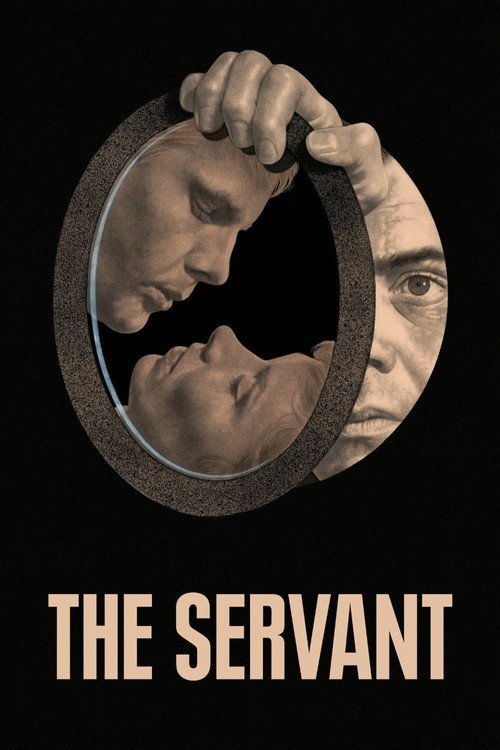 The Servant film afişi