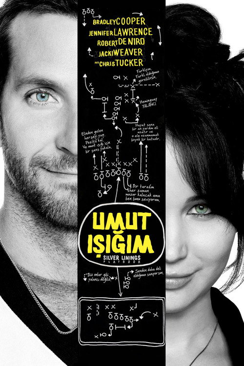 Silver Linings Playbook film afişi