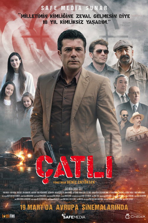 Çatlı film afişi