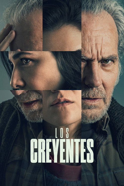 Şüphe Sarmalı film afişi