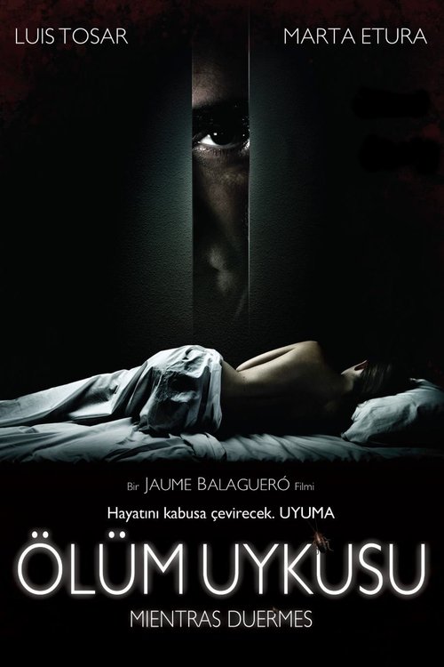 Mientras duermes film afişi