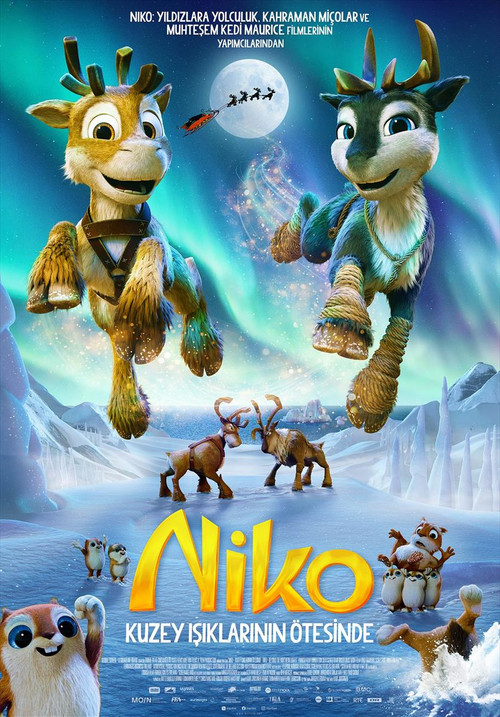 Niko: Beyond the Northern Lights film afişi
