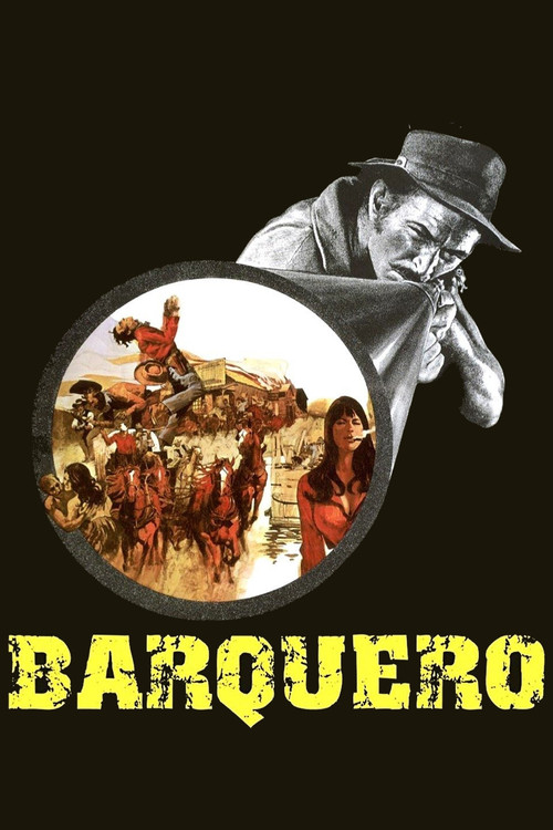 Barquero film afişi
