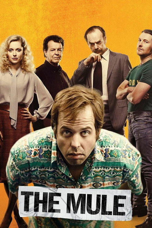 Kurye film afişi