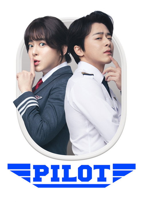 파일럿 film afişi