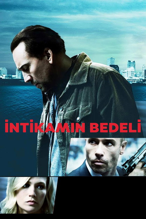 Seeking Justice film afişi