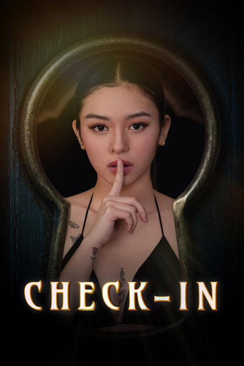 Check In film afişi