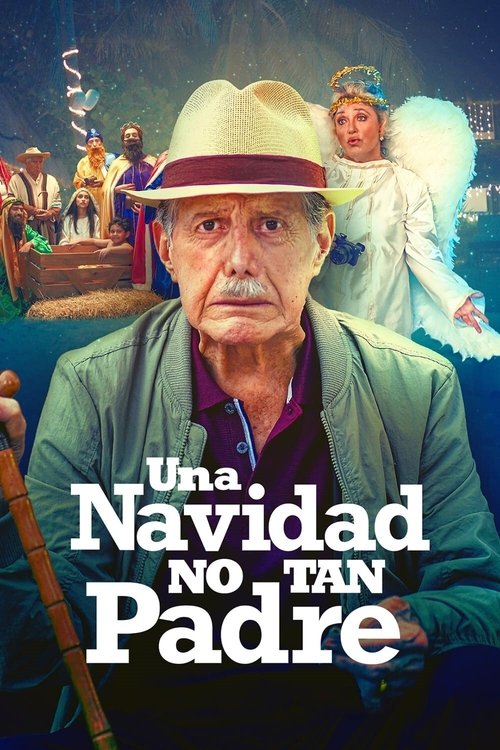 Una Navidad no tan Padre film afişi