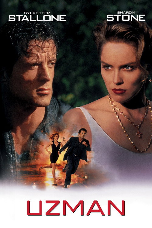 The Specialist film afişi