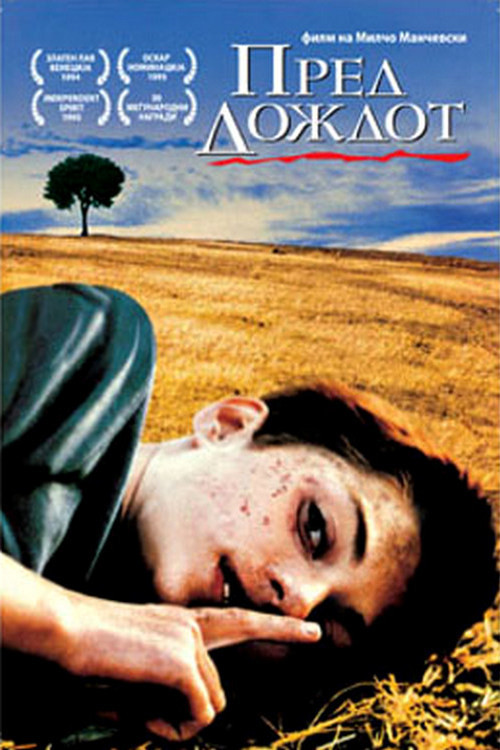 Before the Rain film afişi