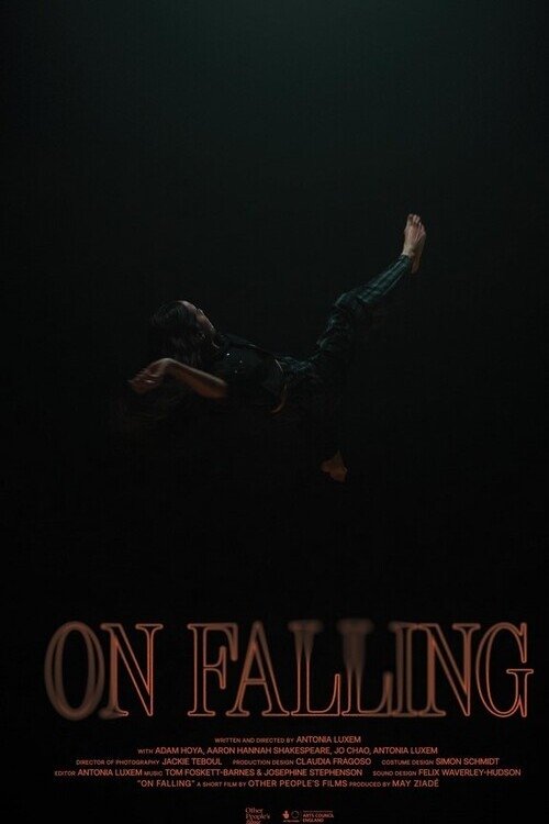 On Falling film afişi