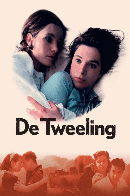 De Tweeling film afişi