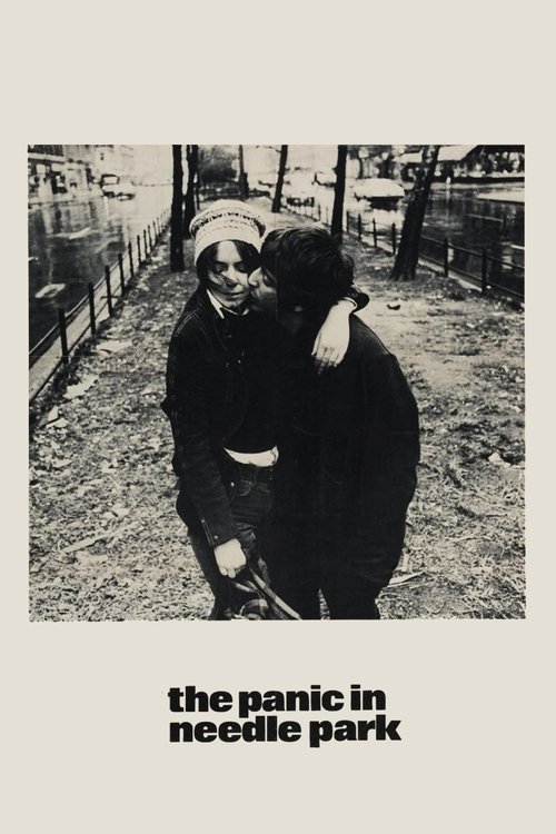 The Panic in Needle Park film afişi