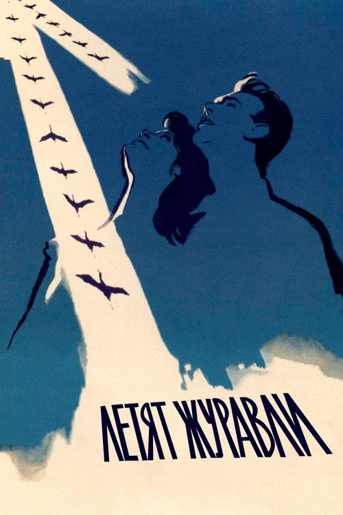 Letyat zhuravli film afişi