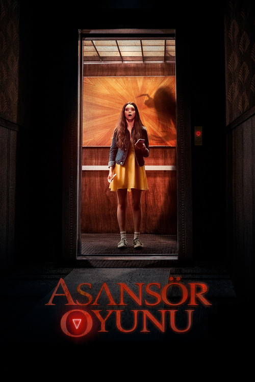 Elevator Game film afişi