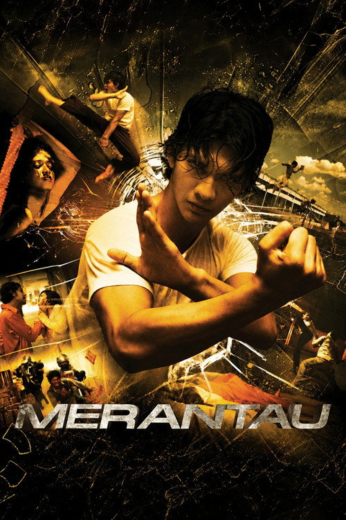 Merantau film afişi