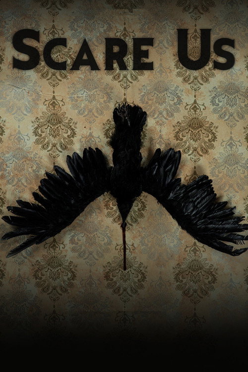 Scare Us film afişi