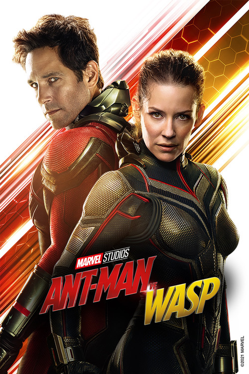 Ant-Man and the Wasp film afişi
