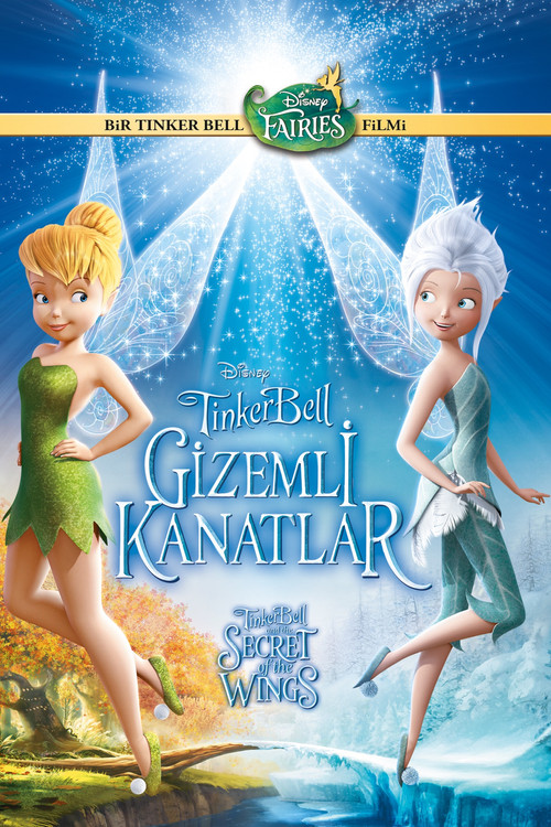 Secret of the Wings film afişi