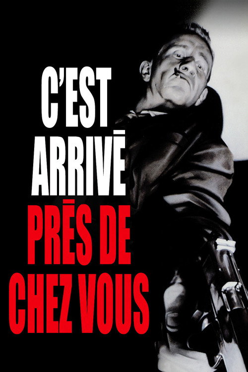 C'est arrivé près de chez vous film afişi