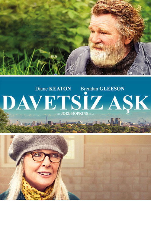 Hampstead film afişi