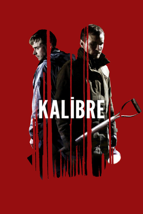 Kalibre film afişi