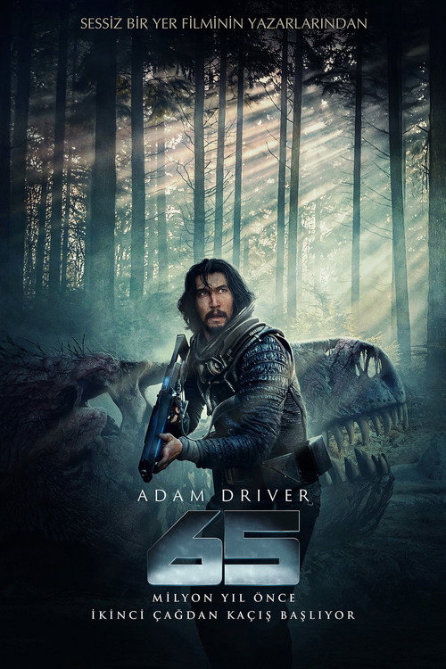 65 film afişi