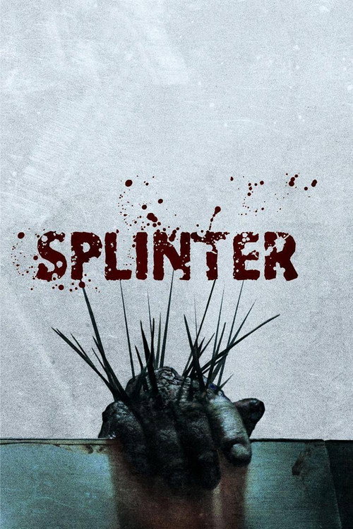 Splinter film afişi