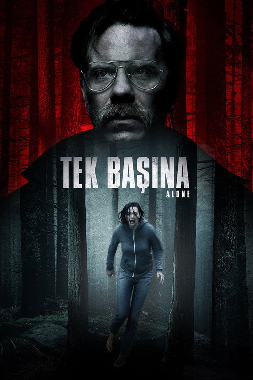 Alone film afişi
