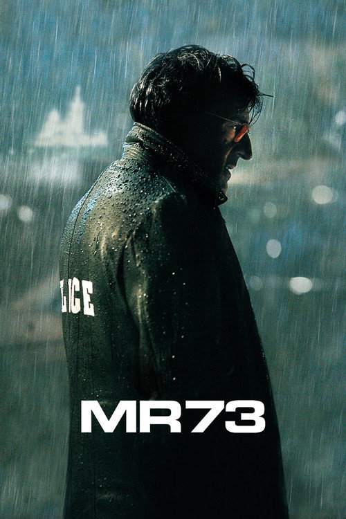 MR 73 film afişi