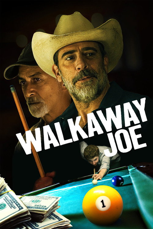 Kaçak Joe film afişi