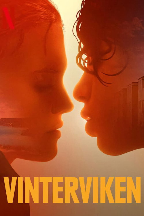 Kış Körfezi film afişi