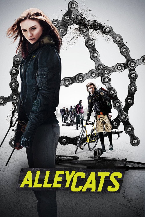Sokak Kedileri film afişi