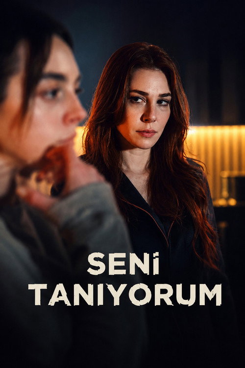 Seni Tanıyorum dizi afişi